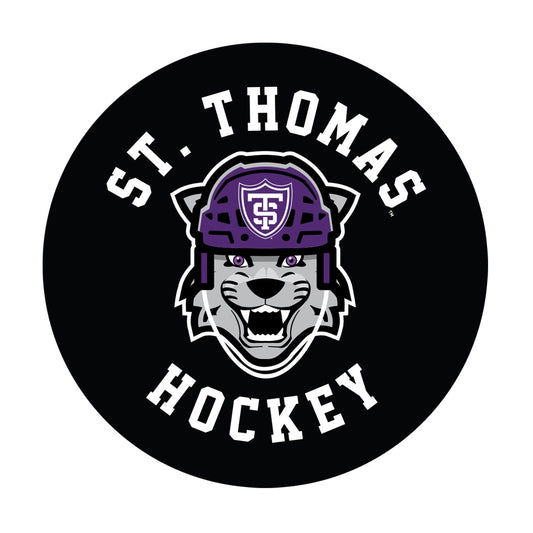 Souvenir Hockey Puck